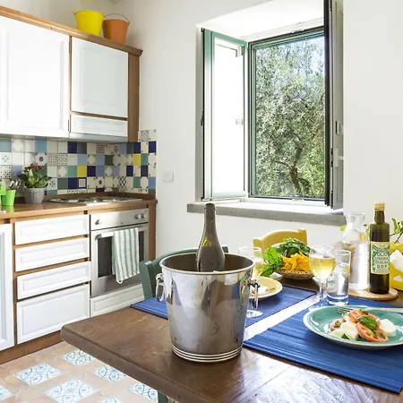 酒店 乔凡娜瑞加纳酒店 4*