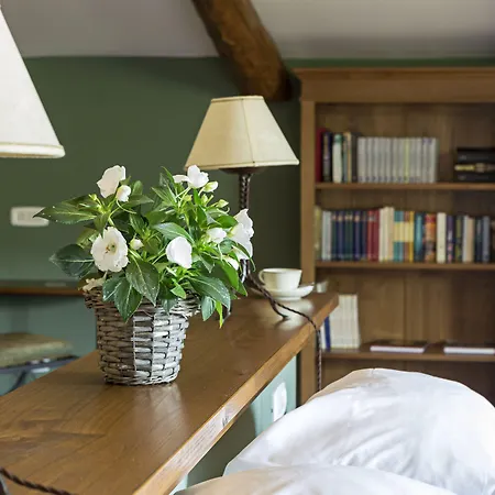 乔凡娜瑞加纳酒店 酒店 4*