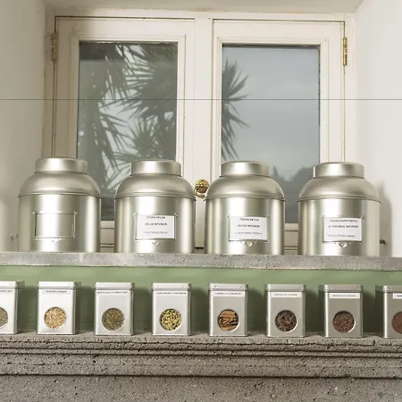 酒店 乔凡娜瑞加纳酒店 索伦托