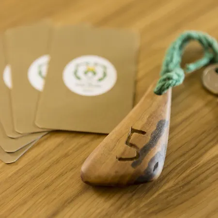 乔凡娜瑞加纳酒店 索伦托