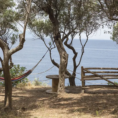 乔凡娜瑞加纳酒店 酒店 4*