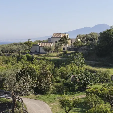 乔凡娜瑞加纳酒店 4* 索伦托