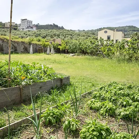 酒店 乔凡娜瑞加纳酒店 4*