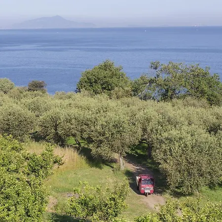 乔凡娜瑞加纳酒店 酒店