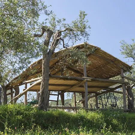 乔凡娜瑞加纳酒店 4*