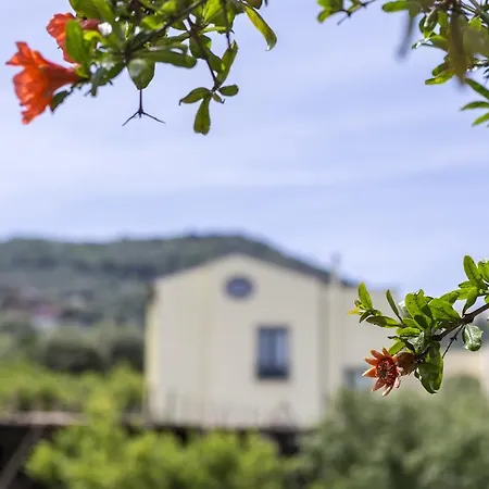 酒店 乔凡娜瑞加纳酒店 4*