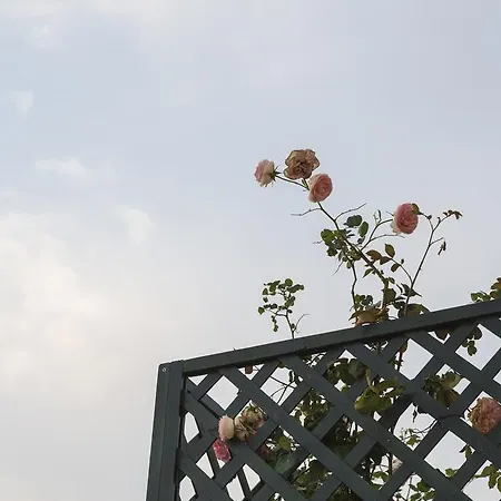 호텔 렐라이스 레지나 조반나 4*